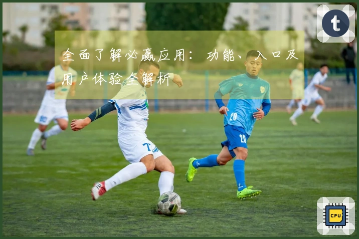 全面了解必赢应用：功能、入口及用户体验全解析