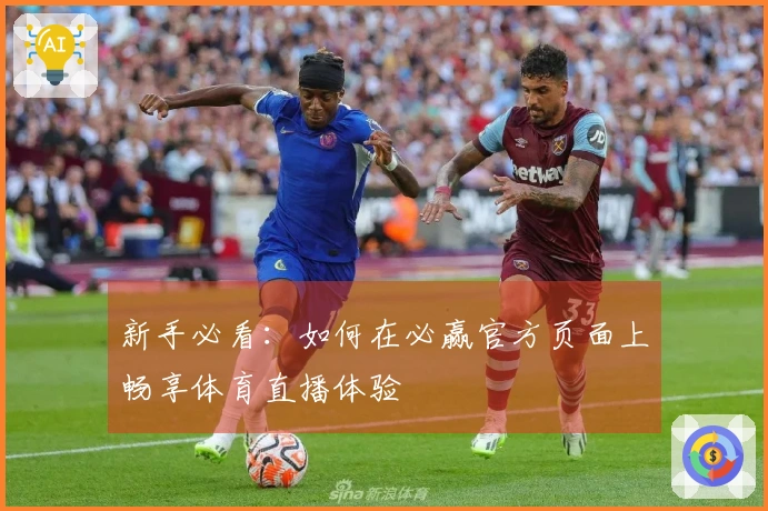 新手必看：如何在必赢官方页面上畅享体育直播体验